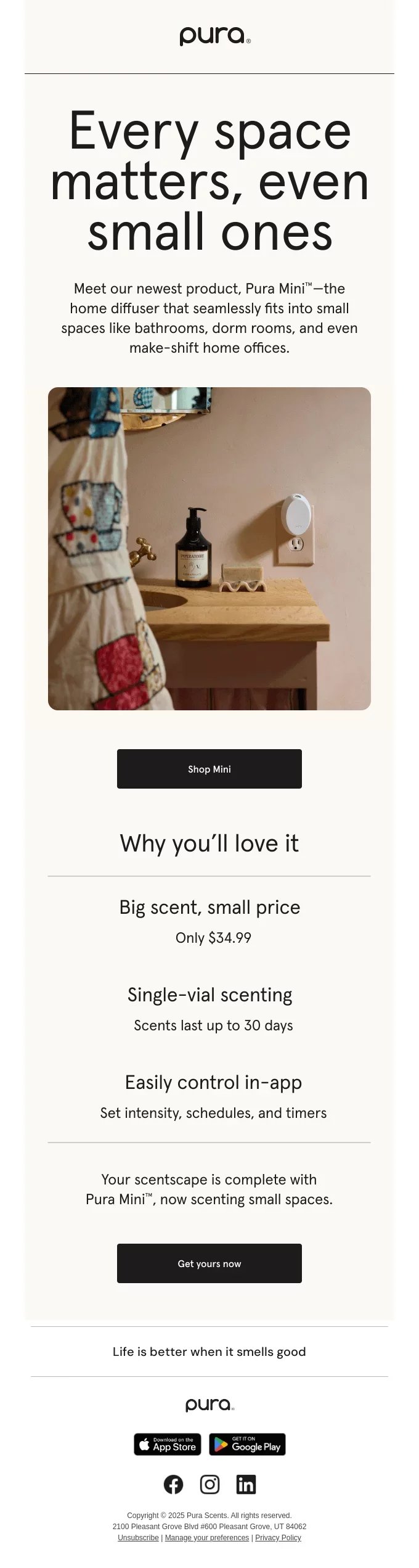 newsletter template