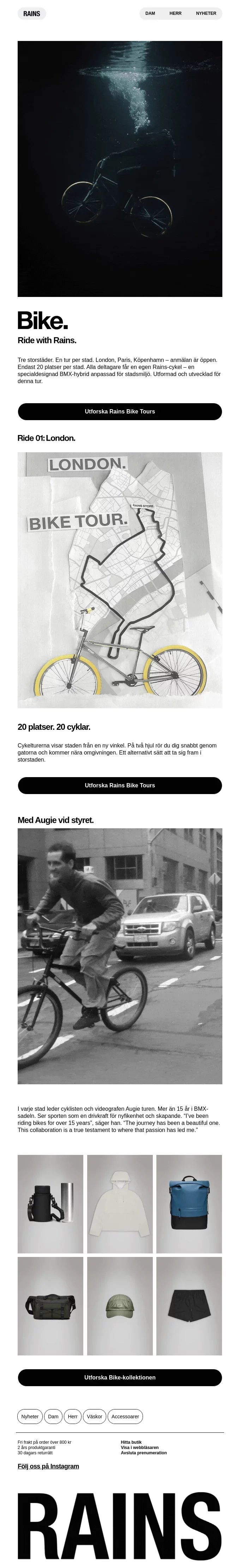 newsletter template