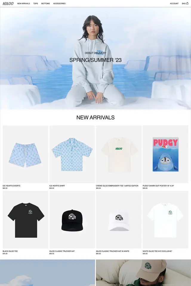 IGLOO landing page