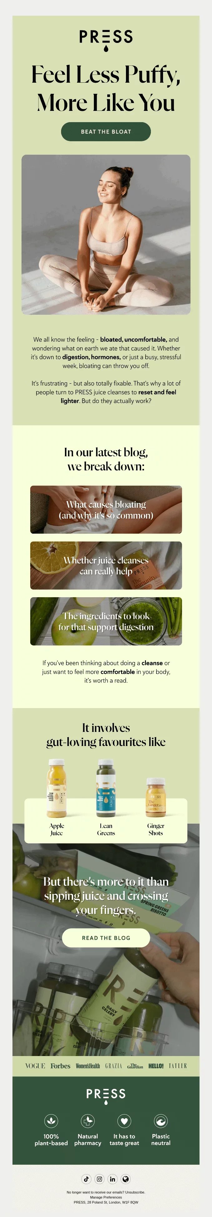 newsletter template