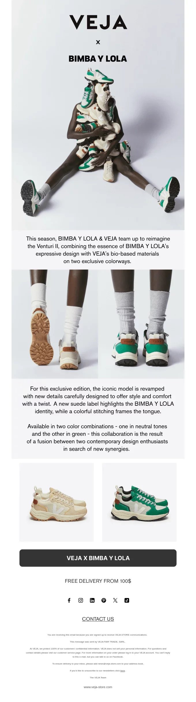 newsletter template
