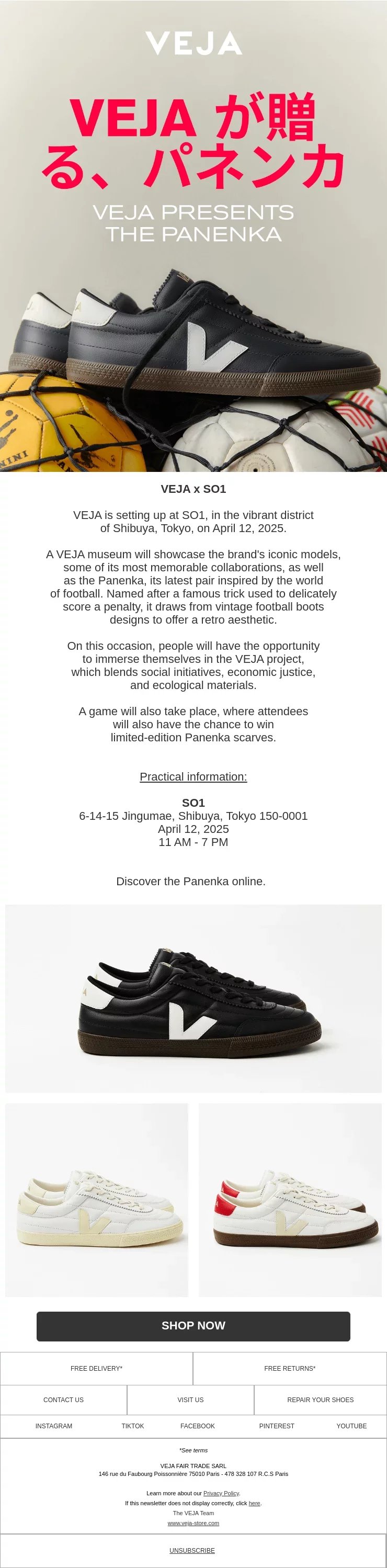 newsletter template