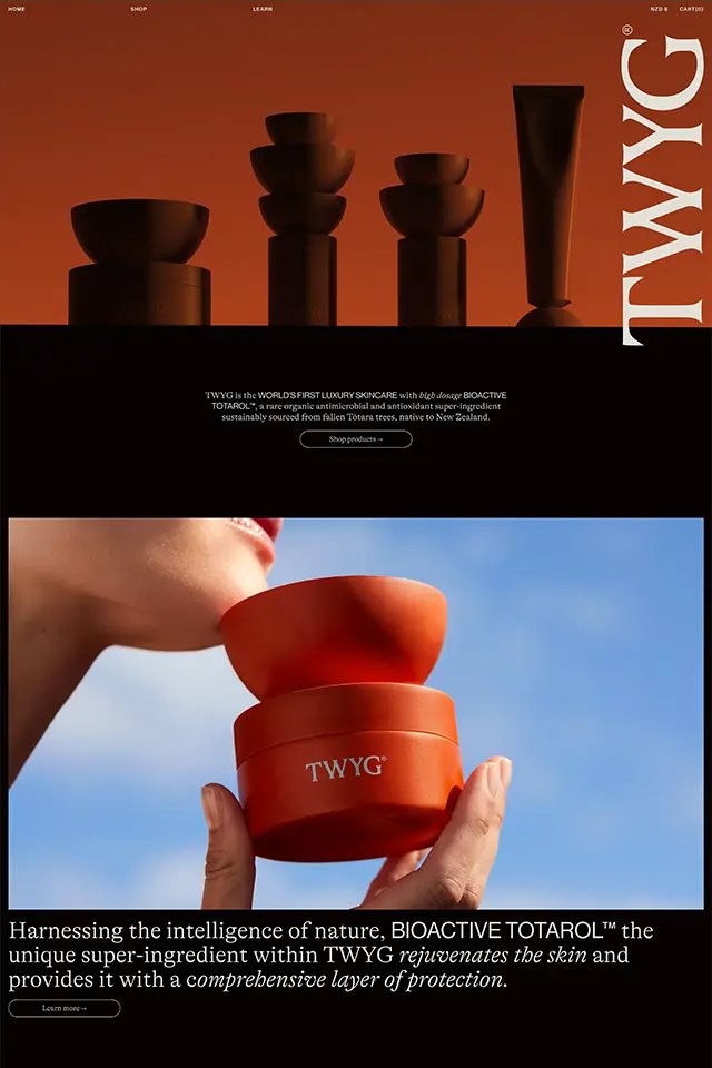 TWYG Skincare landing page