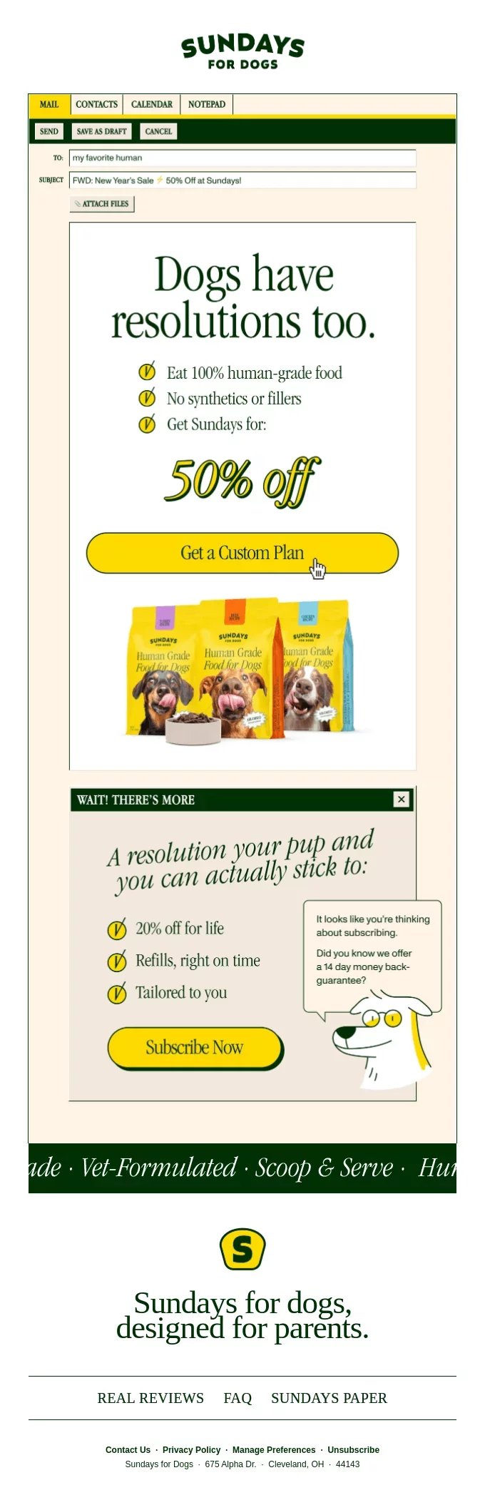 newsletter template