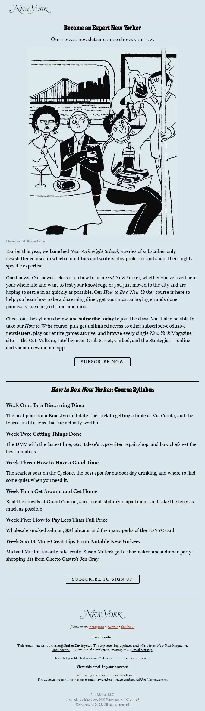 newsletter template