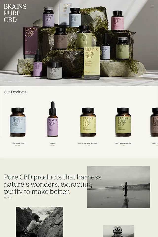 Brains Pure CBD landing page