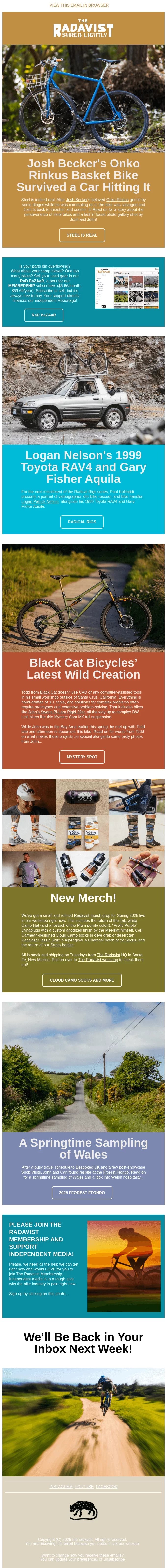 newsletter template
