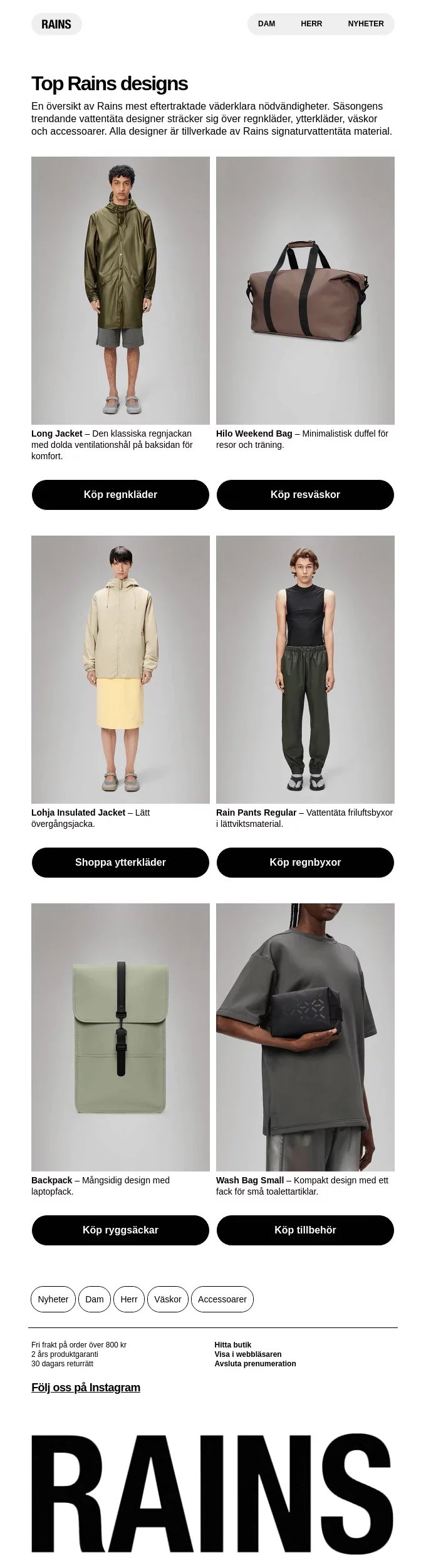newsletter template