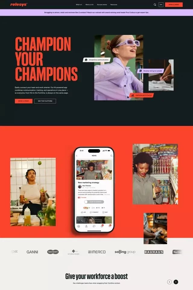 Relesys landing page