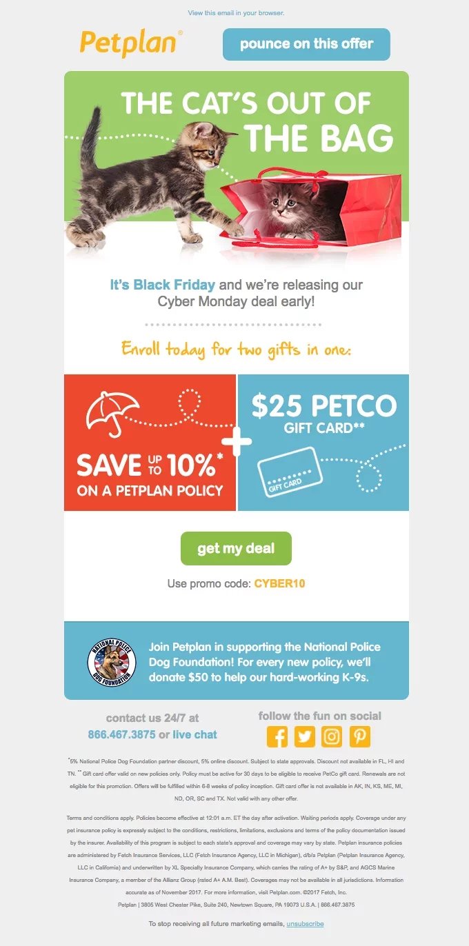 newsletter template
