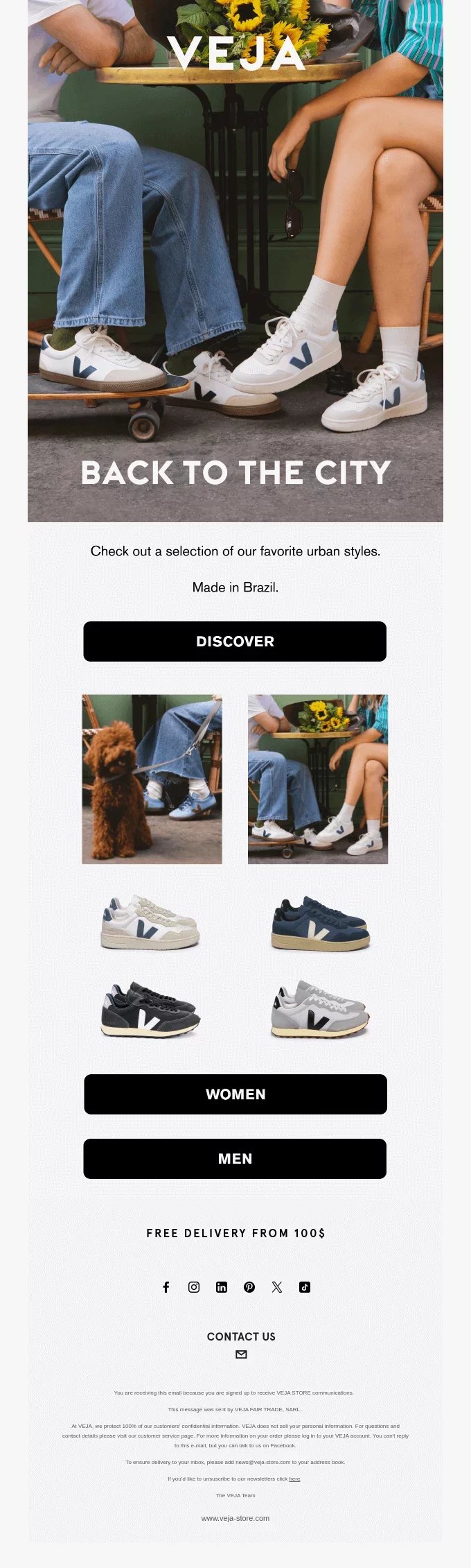 newsletter template