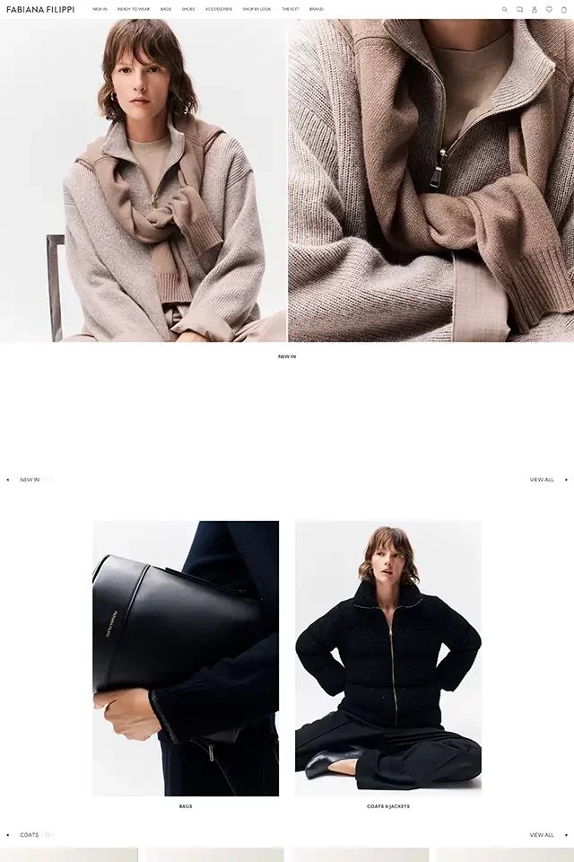 Fabiana Filippi landing page