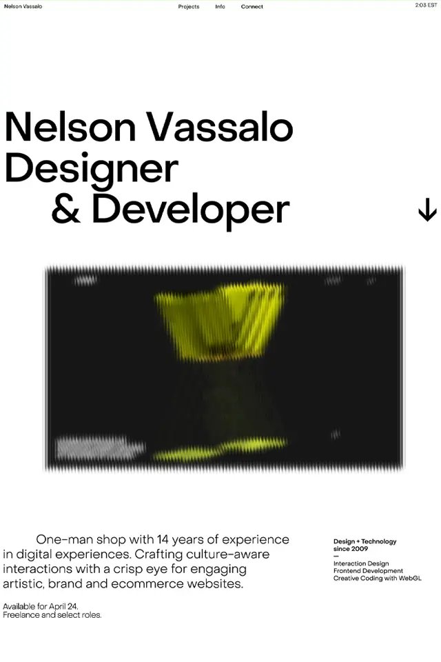 Nelson Vassalo landing page