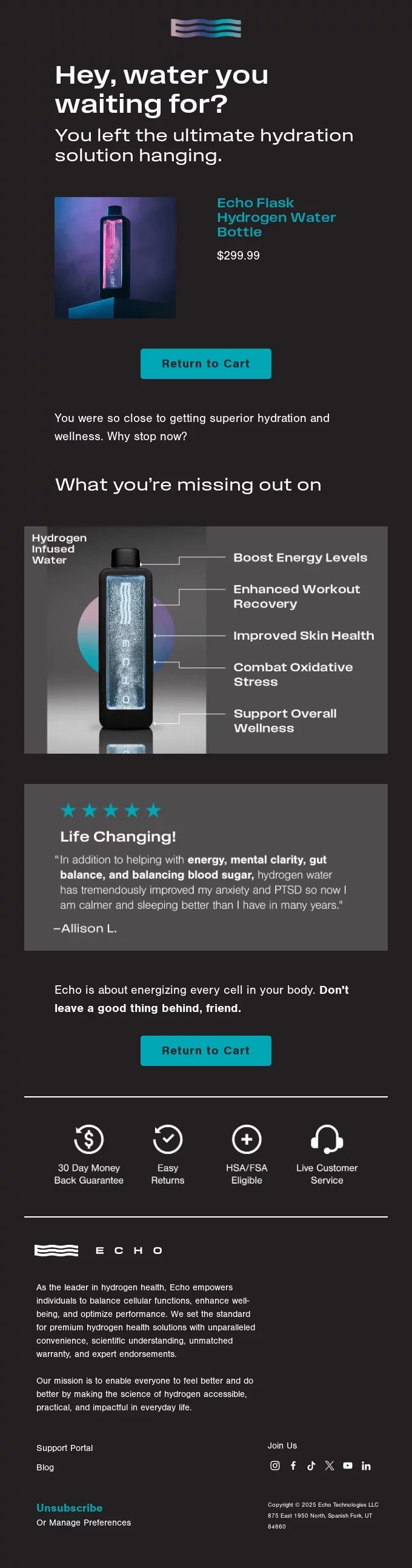 newsletter template